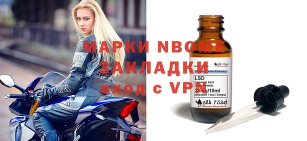 крисы Бородино