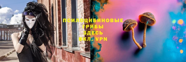 прущие крисы Бронницы