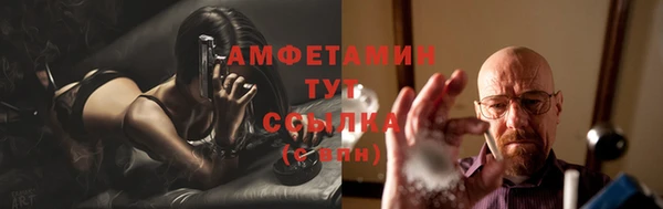 apvp Богданович