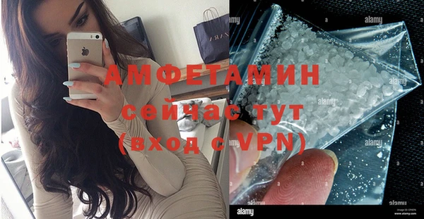 крисы Бородино
