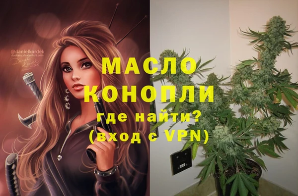 крисы Бородино