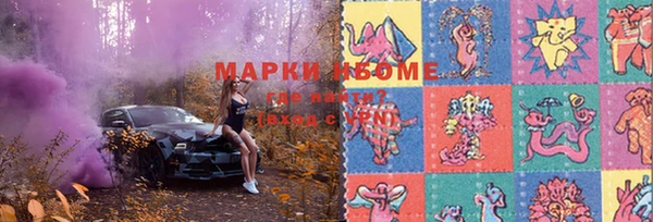 гашик Белокуриха