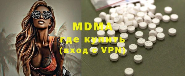 крисы Бородино